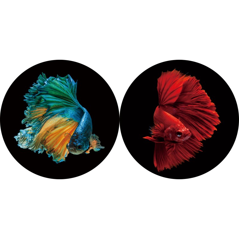 Round glass wall art - coloured Fish - set of two Round glass wall art - coloured Fish - set of two